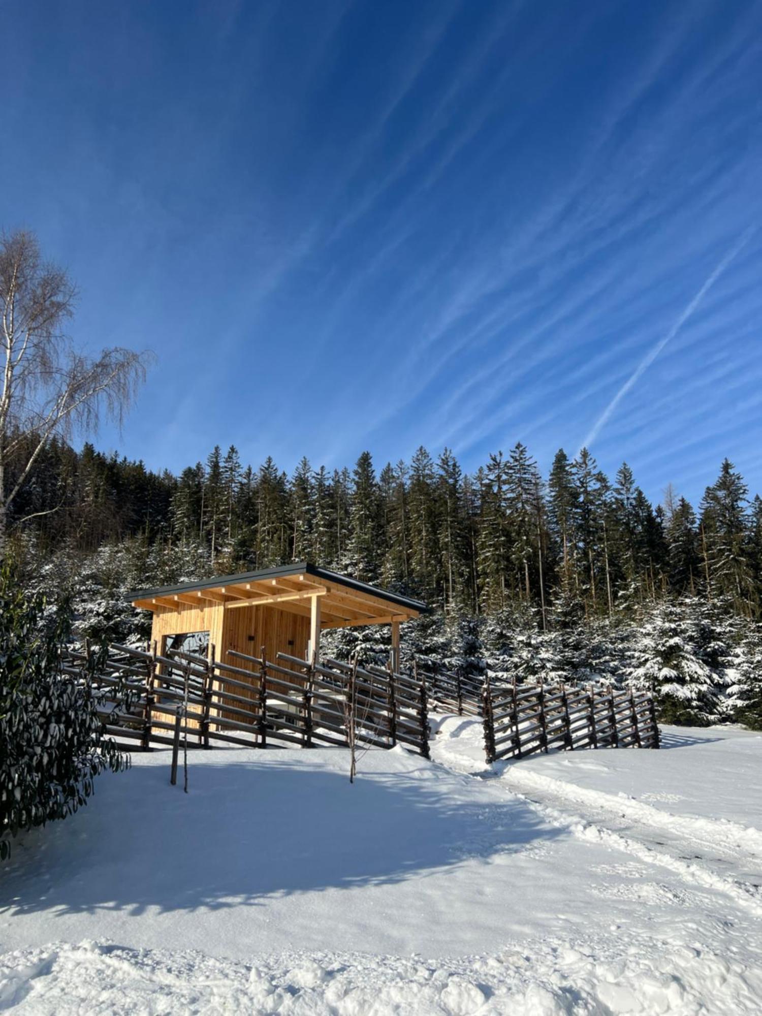 Waldheimatblick Villa Sankt Kathrein am Hauenstein Exterior photo